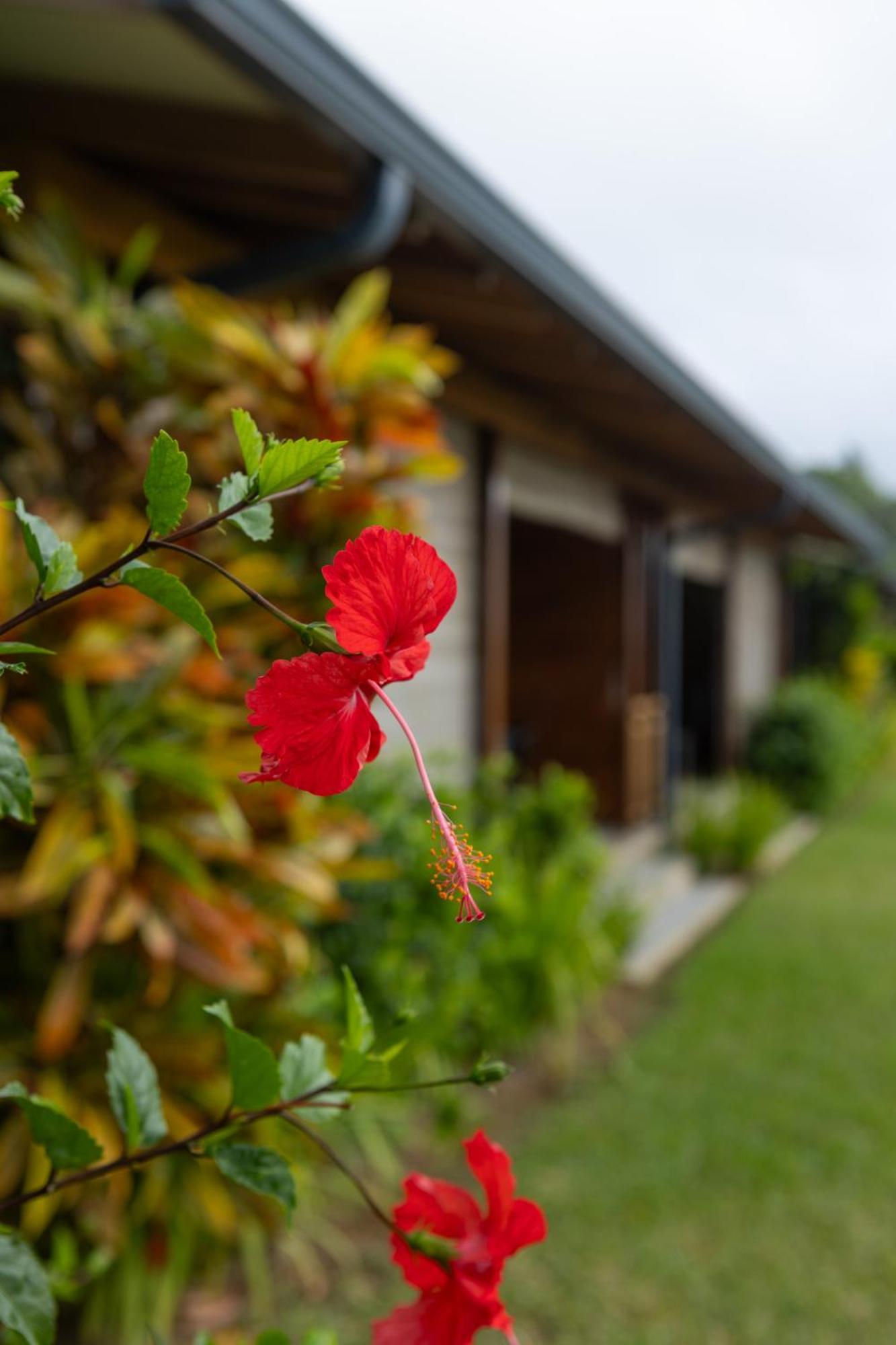 Paradise Chalets Yoga & Wellness 塔卡马卡 外观 照片