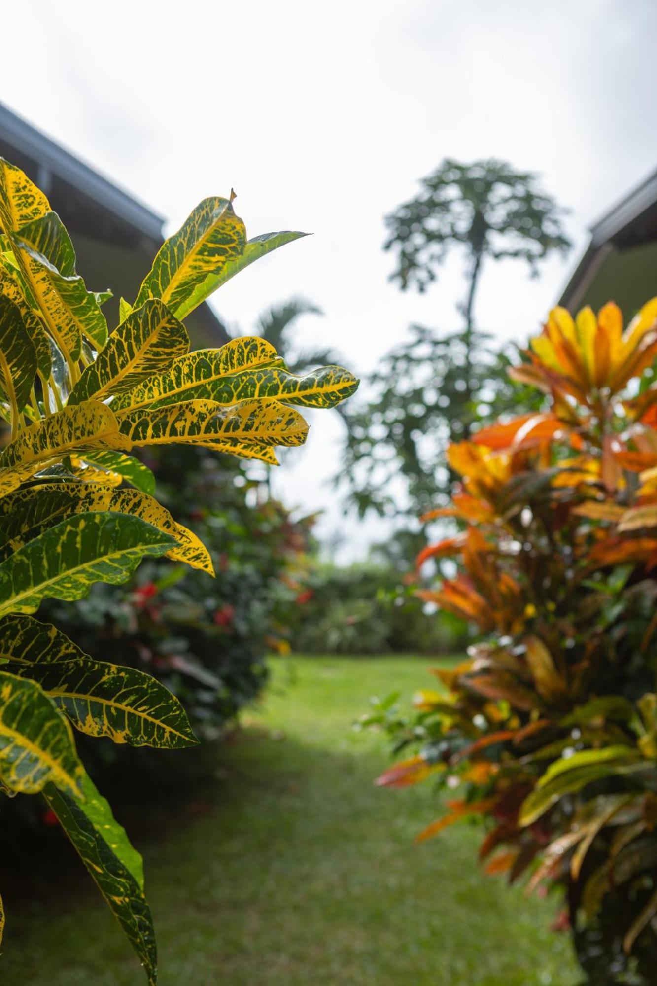 Paradise Chalets Yoga & Wellness 塔卡马卡 外观 照片