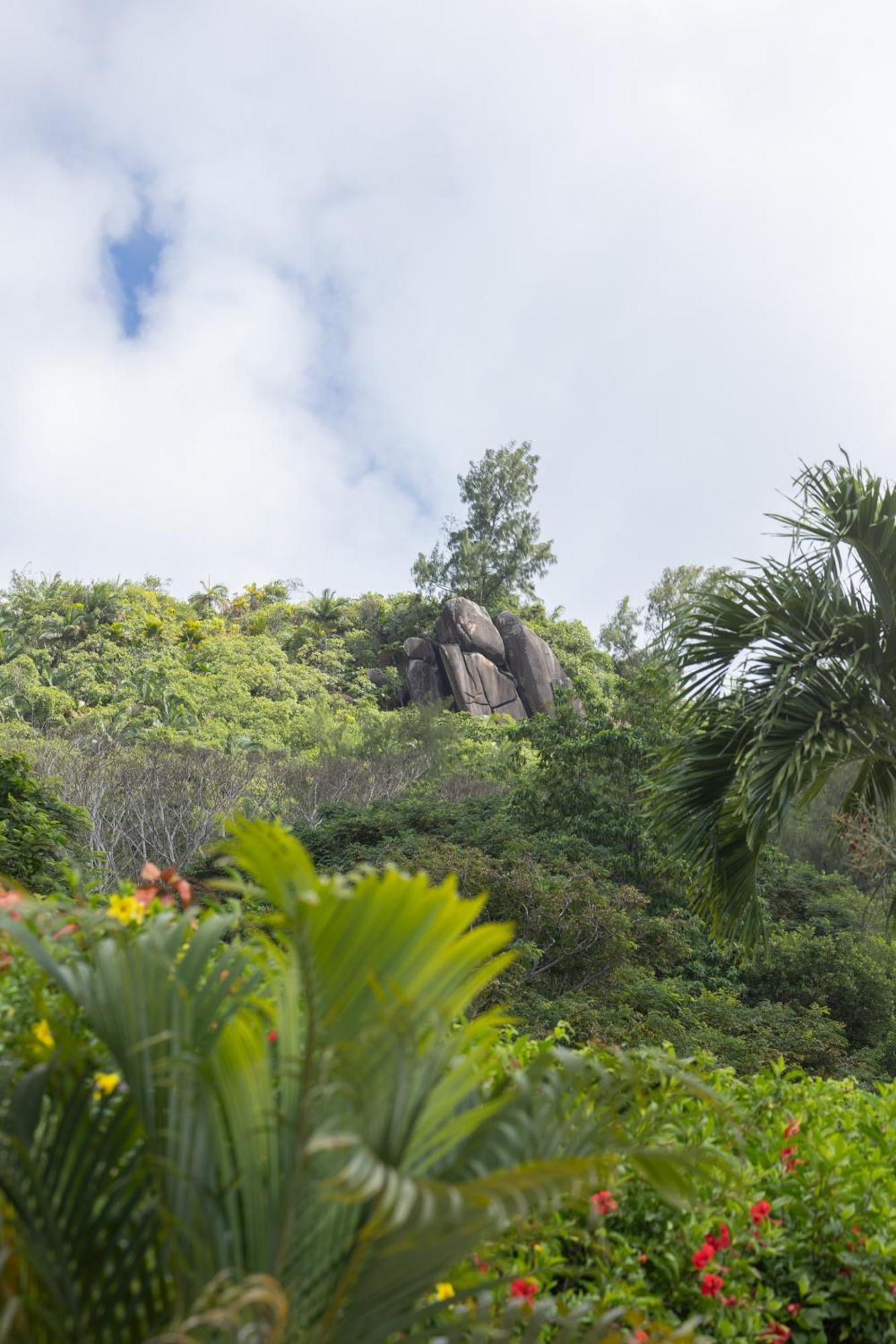 Paradise Chalets Yoga & Wellness 塔卡马卡 外观 照片